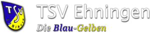 Die Camp News sind online